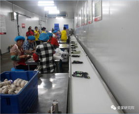 歡樂愛家工廠開放日 以信息技術(shù)咨詢服務(wù)，用心感知，用心服務(wù)